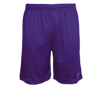 Stanno Field Shorts (Adult) - Purple