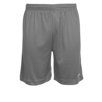 Stanno Field Shorts (Adult) - Gray