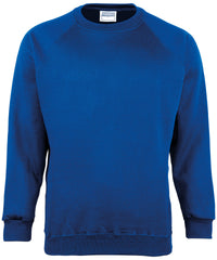 Maddins Coloursure™ Sweatshirt - Royal