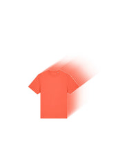 Stanley/Stella Tee Pack in Fiesta - 25 Sparker 2.0 Heavy T-Shirts