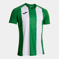 Joma Inter IV Short Sleeve T-shirt (Adult) - Green White
